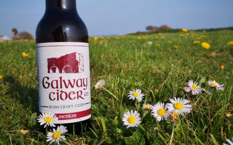 galway-cider-co-daisies